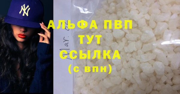 дживик Белокуриха