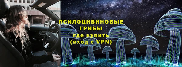 дживик Белоозёрский