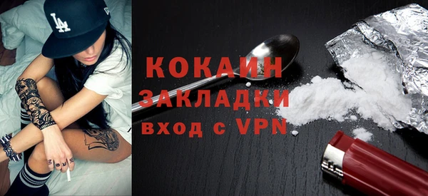 дживик Белокуриха