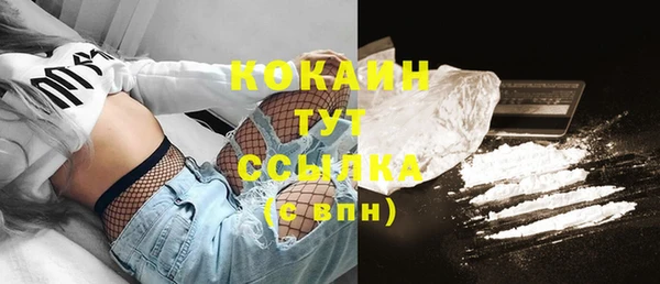 дживик Белокуриха