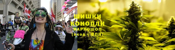трава Беломорск