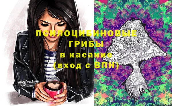 дживик Белоозёрский