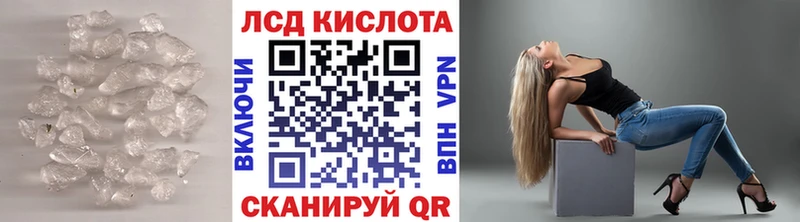 где купить наркоту  Волчанск  ЛСД экстази ecstasy 